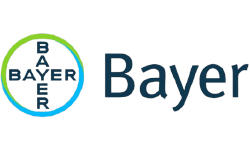 Bayer